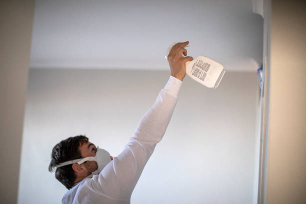 Best Mold Damage Repair  in Crosby, TX