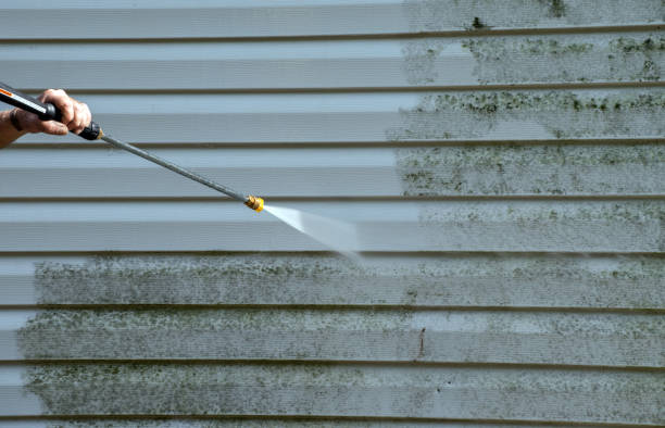 Mold Removal Process in Crosby, TX