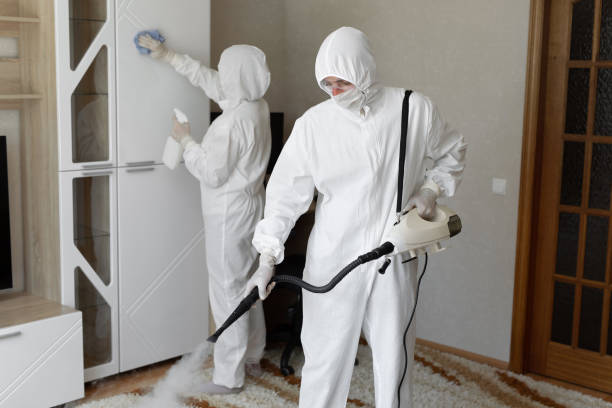 Best Certified Mold Removal  in Crosby, TX