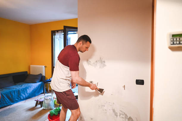 Best Black Mold Removal  in Crosby, TX